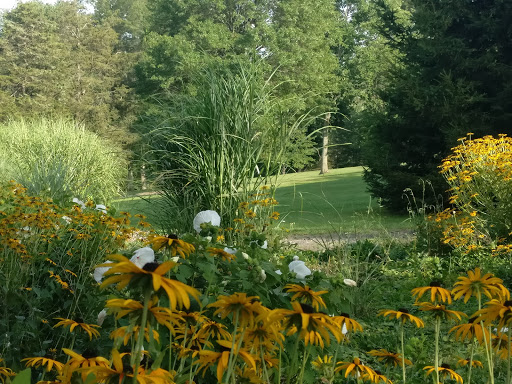 Golf Driving Range «Miner Hills Golf Course & Driving Range», reviews and photos, 80 Miner Hills Dr, Middletown, CT 06457, USA