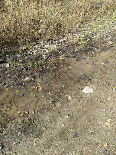 Bird Watching Area «Jelke Creek Bird Sanctuary», reviews and photos, Boncosky Rd, Dundee Township, IL 60118, USA