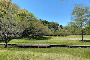 Miyanomae Fureai Park image