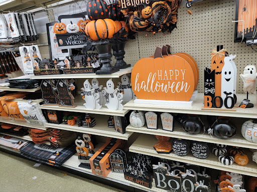 Discount Store «Big Lots», reviews and photos, 924 N Main St, Suffolk, VA 23434, USA