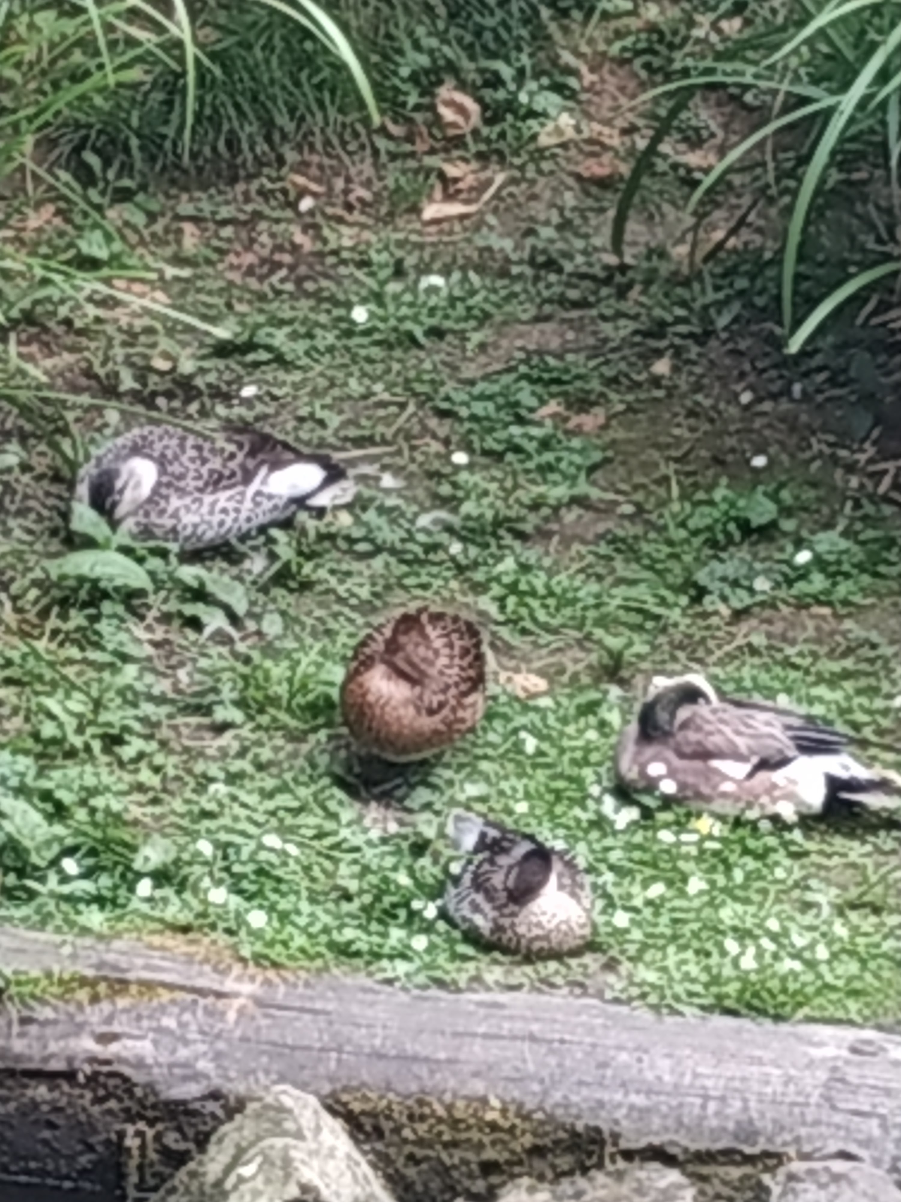 Photo n° 15 de l'avis de marie.l fait le 13/06/2023 à 20:22