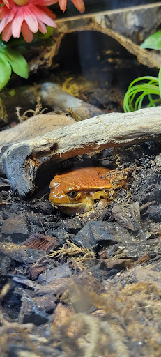 Zoo «Lake Superior Zoo», reviews and photos, 7210 Fremont St, Duluth, MN 55807, USA