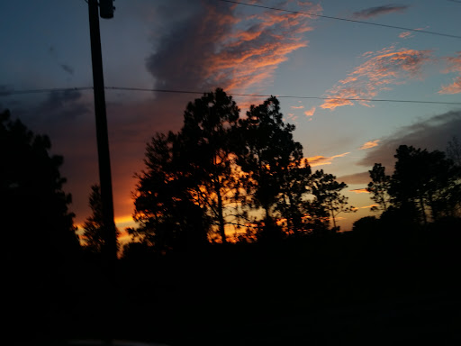 National Forest «Ocala National Forest», reviews and photos, FL-40, Silver Springs, FL 34488, USA