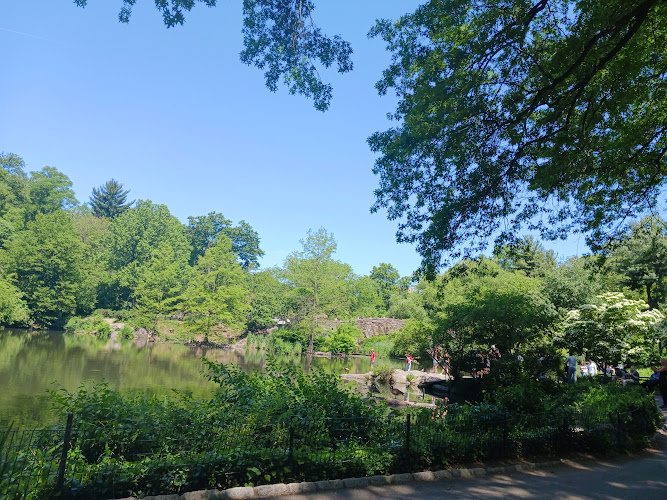 NYC Central Park Tours