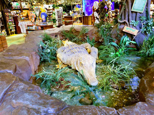 Outlet Store «Express Factory Outlet», reviews and photos, 3000 Grapevine Mills Pkwy, Grapevine, TX 76051, USA