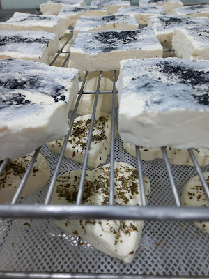 Fromagerie de la Bareille à Asté