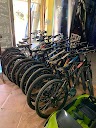 Sightseeing Segway & Bike Tours | Rental Services en San Roque