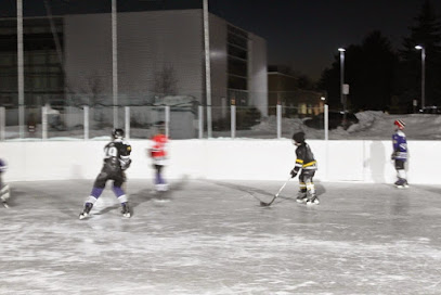The Frieze Box Outdoor Rink