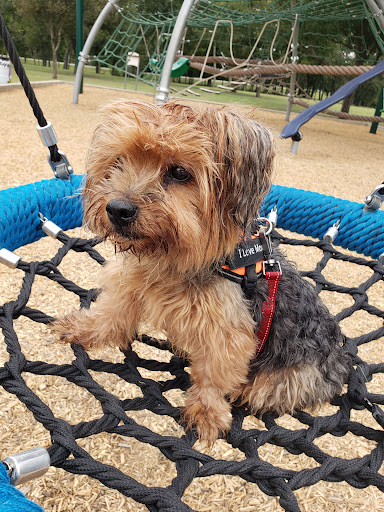 Park «Brown Singleton Park», reviews and photos, Farley St, Waxahachie, TX 75165, USA