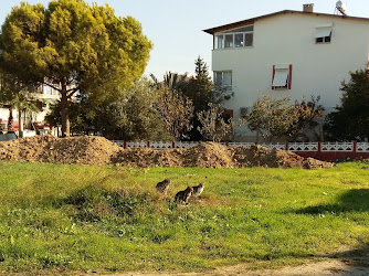 Zeytinalanı Gülter-Osman Ponner İlkokulu