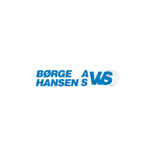 Anmeldelser af Børge Hansen A/S VVS i Skive - VVS-installatør