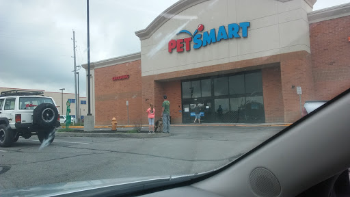 Pet Supply Store «PetSmart», reviews and photos, 1157 E North Ave, Belton, MO 64012, USA