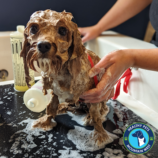 Pet Store «Healthy Pets Mountain West», reviews and photos, 2352 Fort Union Blvd, Cottonwood Heights, UT 84121, USA