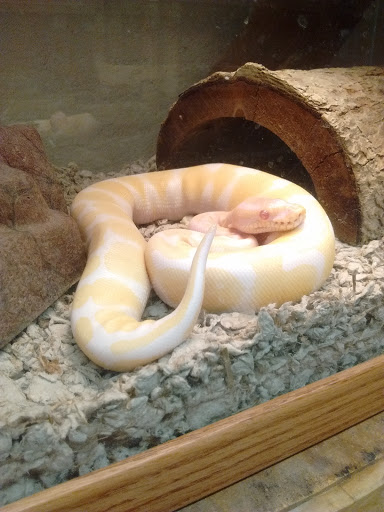 Pet Supply Store «College Greens Pet Center», reviews and photos, 3311 Julliard Dr # A, Sacramento, CA 95826, USA