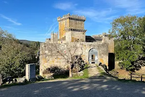 Castle of Pambre image