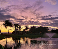 Galuppi's - Photo 8 - Car repair in Pompano Beach, FL, Pompano Beach