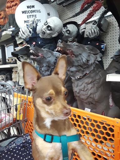 Discount Store «Big Lots», reviews and photos, 14537 W Grand Ave #200, Surprise, AZ 85374, USA