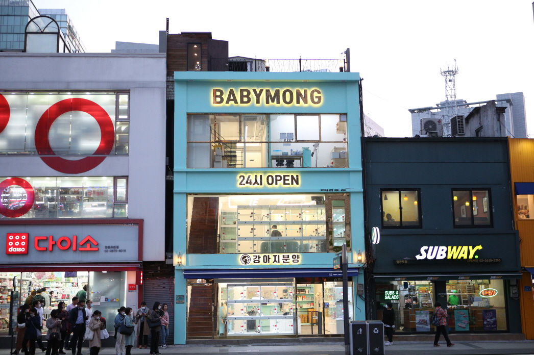BabyMong HQ Store 베이비몽 본점 (ENG counseling Available)