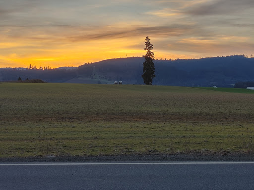 Golf Course «Sunset Grove Golf Course», reviews and photos, 41615 NW Osterman Rd, Forest Grove, OR 97116, USA