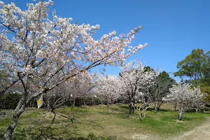 Kuroshio Park image