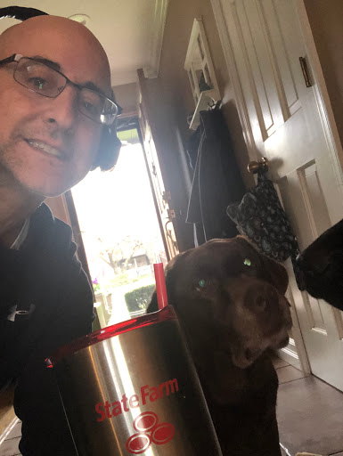 Auto Insurance Agency «State Farm: Tony Petrozzella», reviews and photos