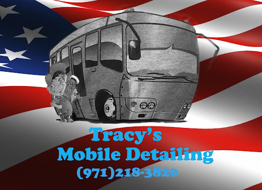 Tracy's Mobile Detailing en Albany