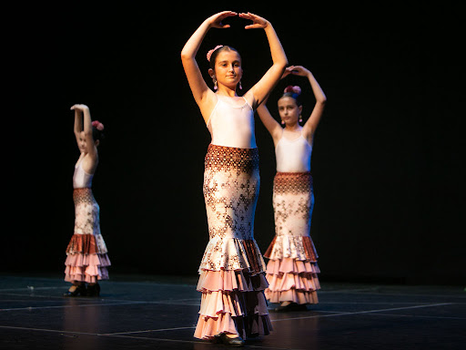 Imagen del negocio Luisa Piquer Estudio de danza en Borriana, Castellón