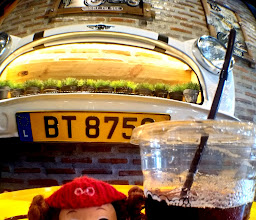 กาก กาแฟ photo