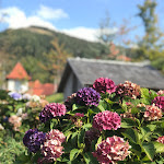 Photo n°9 de l'avis de Mei.u fait le 25/09/2020 à 14:26 sur le  Hotel Dollenberg à Bad Peterstal-Griesbach