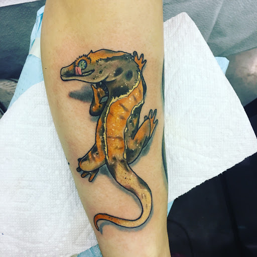 Tattoo Shop «Dreamland Tattoo», reviews and photos, 1887 S Main St, Harrisonburg, VA 22801, USA