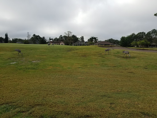 Golf Course «Wedgefield Golf Club», reviews and photos, 20550 Maxim Pkwy, Orlando, FL 32833, USA