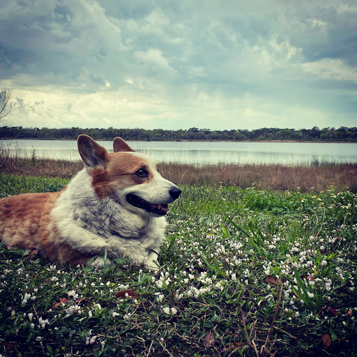 Park «Lake Rogers Park», reviews and photos, 9010 N Mobley Rd, Odessa, FL 33556, USA