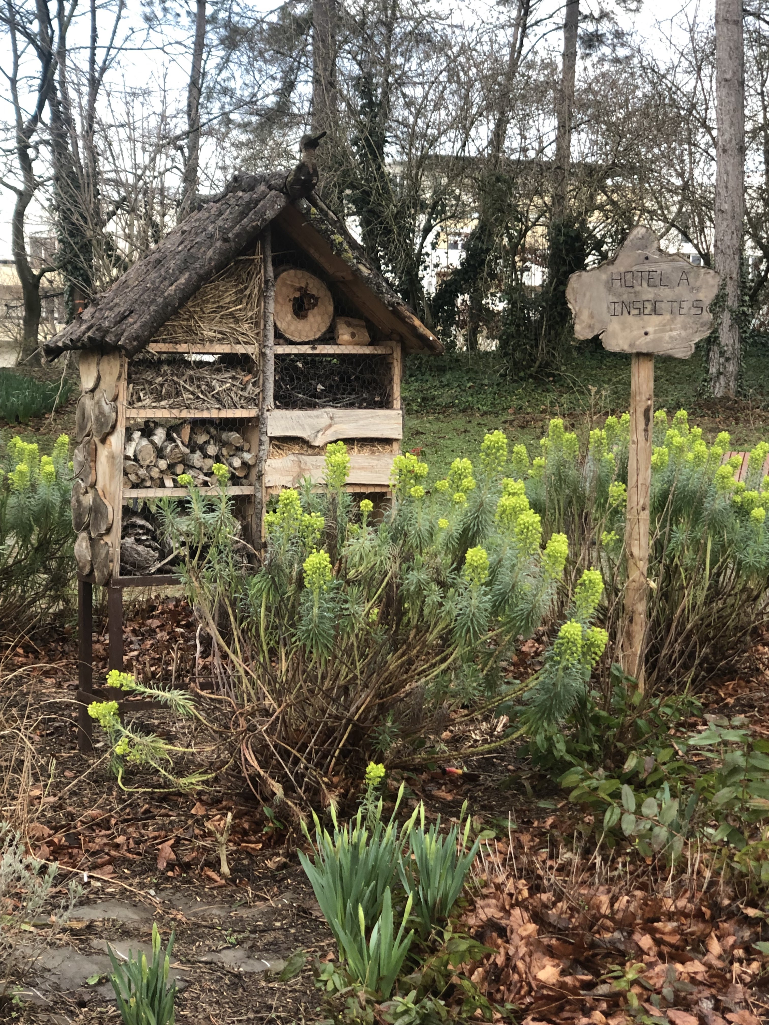 Photo n° 2 de l'avis de Emmanuelle. fait le 26/02/2022 à 14:05