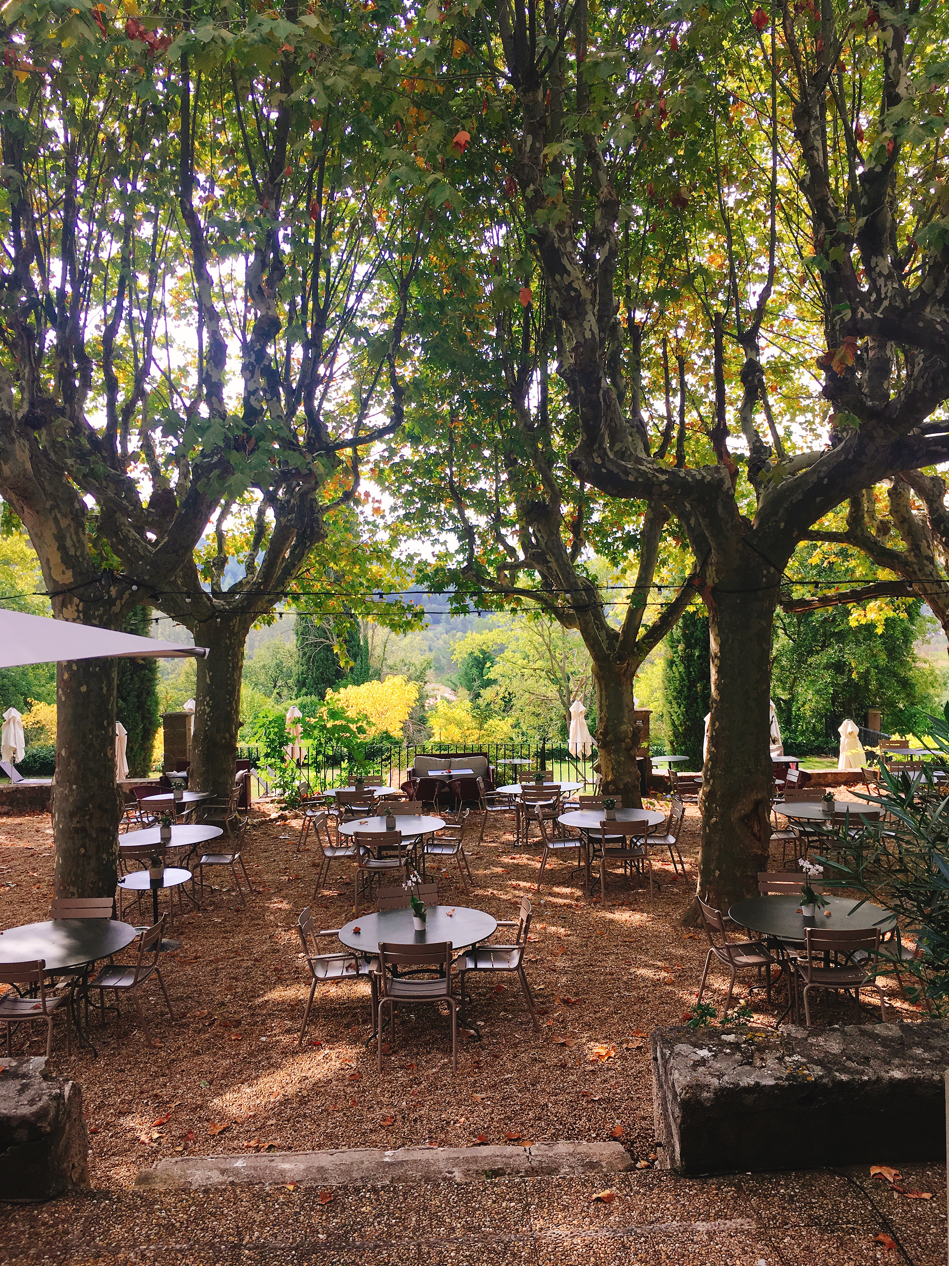 Photo n° 2 de l'avis de ORPI.G fait le 26/09/2017 à 19:18