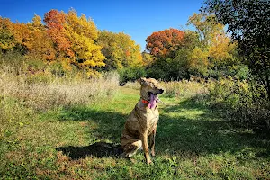 Jefferson County Dog Park image