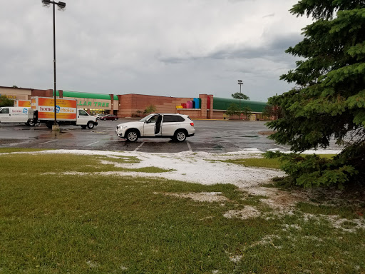 Dollar Store «Dollar Tree», reviews and photos, 521 87th Ln NE, Blaine, MN 55434, USA