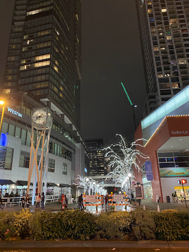 Clothing Store «The North Face», reviews and photos, 1001 Bellevue Way NE, Bellevue, WA 98004, USA