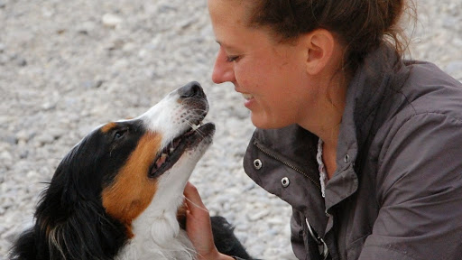 Leinenlos- Hundetraining Julia Höhn