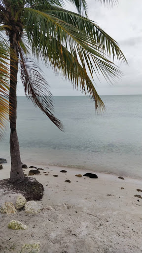 Aquarium «Miami Seaquarium», reviews and photos, 4400 Rickenbacker Causeway, Key Biscayne, FL 33149, USA