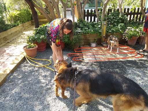 Guarderías caninas y cuidadores de mascotas en Reus de 2024