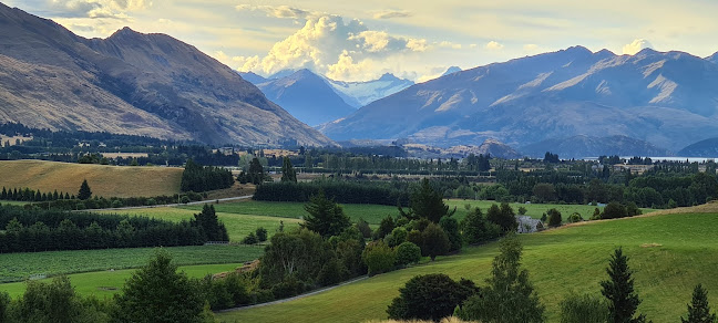 Reviews of Penny's Home Care in Wanaka - Doctor