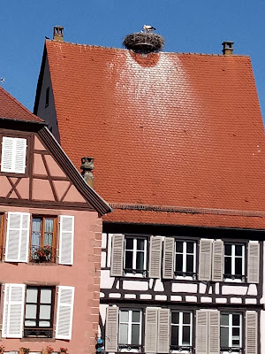 Braun Herve à Colmar