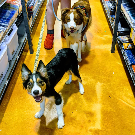 Art Supply Store «Blick Art Materials», reviews and photos, 1165 Woodstock Rd #830, Roswell, GA 30075, USA