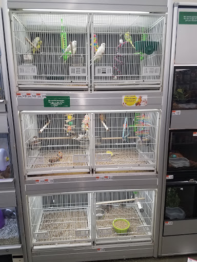 Pet Supply Store «Pet Supplies Plus», reviews and photos, 126 E Main St, Smithtown, NY 11787, USA