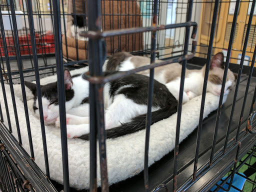 Pet Supply Store «Petco Animal Supplies», reviews and photos, 45205 Worth Ave, California, MD 20619, USA