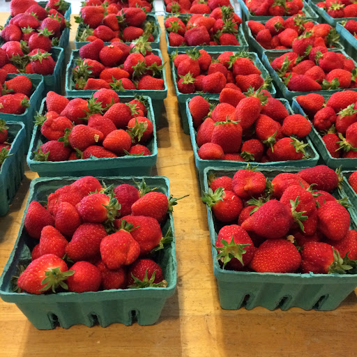 Farm «Manoff Market Gardens», reviews and photos, 3157 Comfort Rd, Solebury, PA 18963, USA