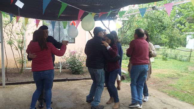 Opiniones de Centro Silvestre El Sauce en Talca - Camping