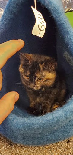 Pet Supply Store «Mad Cat Pet Supplies», reviews and photos, 7820 Mineral Point Rd, Madison, WI 53717, USA