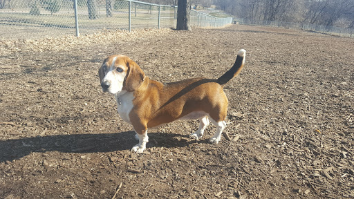 Dog Park «St. Anthony Parkway Off-Lease Dog Park», reviews and photos, 700 St Anthony Pkwy, Minneapolis, MN 55418, USA