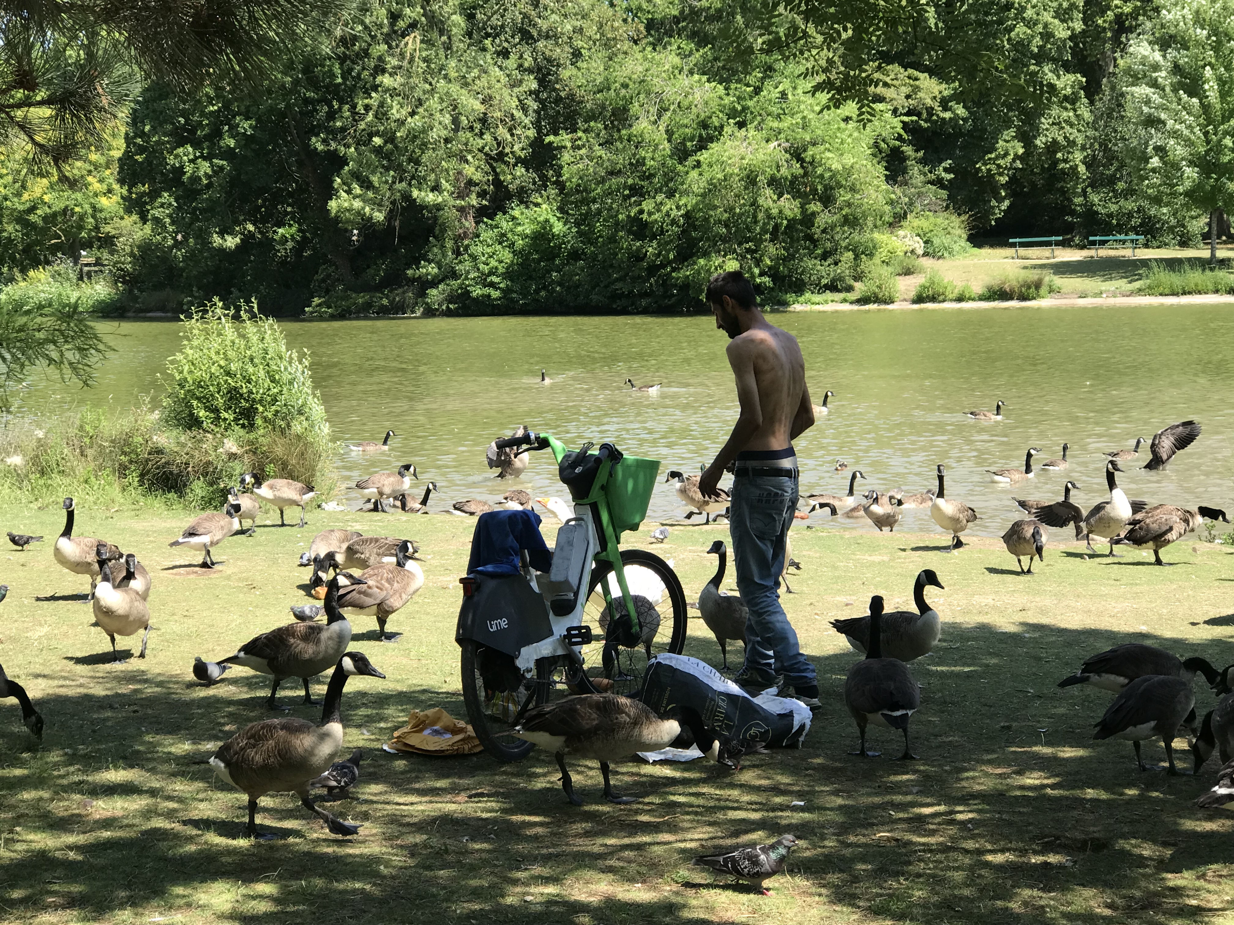 Photo n° 2 de l'avis de Kriss.s fait le 01/08/2023 à 14:58